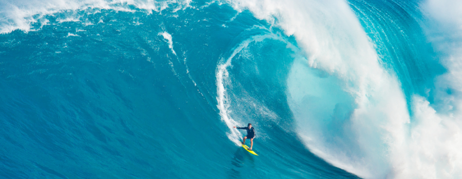 The Wave: Navigating Life’s Currents