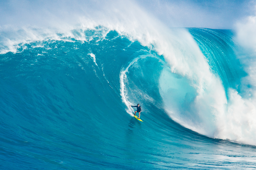 The Wave: Navigating Life's Currents